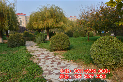 石家莊醫(yī)學中專學校2024年招生時間