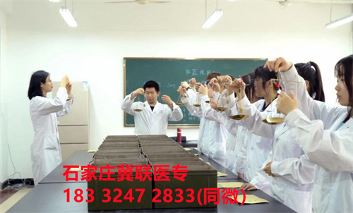 石家莊冀聯(lián)醫(yī)學(xué)院2026年護(hù)理專業(yè)學(xué)費(fèi)介紹