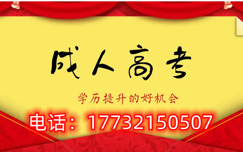 干貨！備考必讀，成考不踩雷！