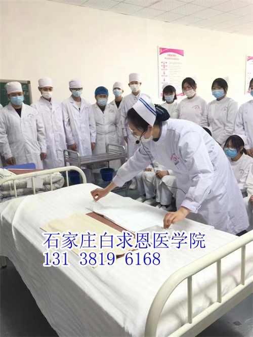 河北對口高考和對口單招有什么不同？