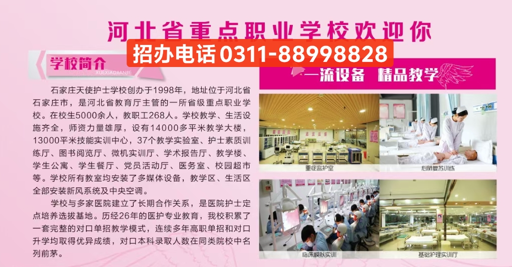 mmexport1731747637274.jpg mmexport1731747637274.jpg