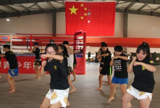 石家莊開設(shè)體育專業(yè)、武術(shù)專業(yè)的學(xué)校