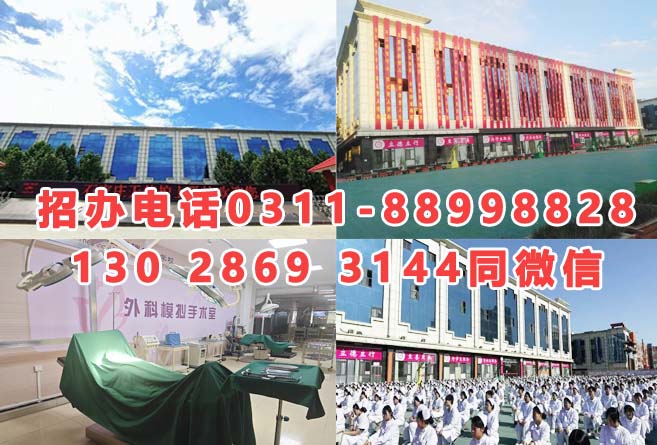 石家莊天使護(hù)士學(xué)校2026年招生分?jǐn)?shù)線是多少？